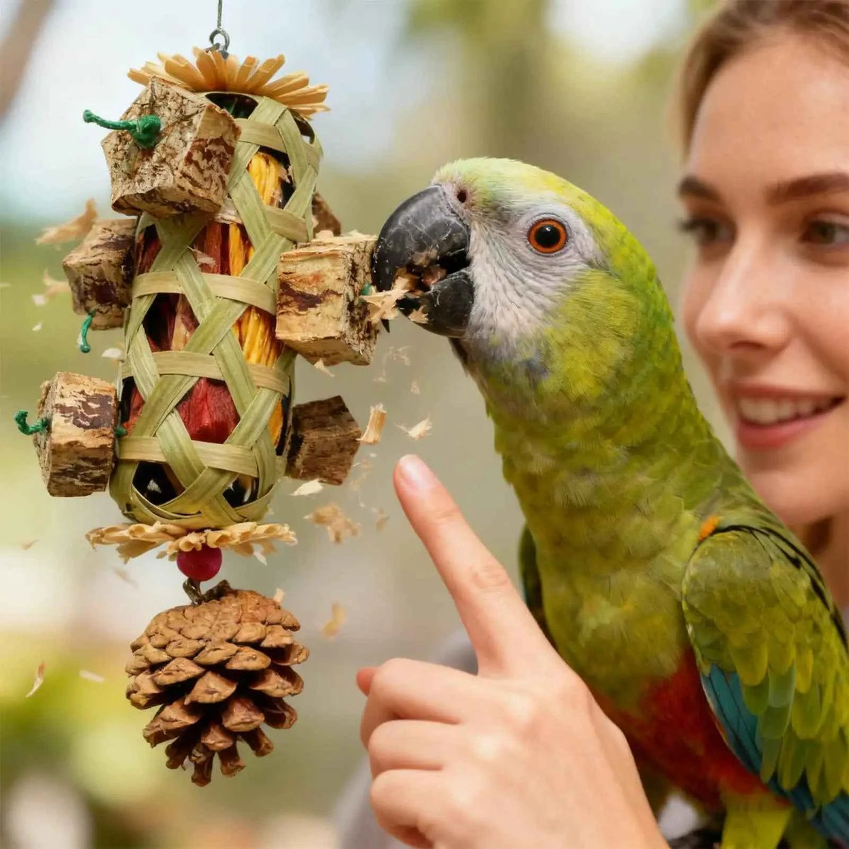 Parrot Toys For aging Chew Pet Supplies Colorful Husk Parrot Toys for Mental Play Training Indoor Finches Lovebirds African Grey