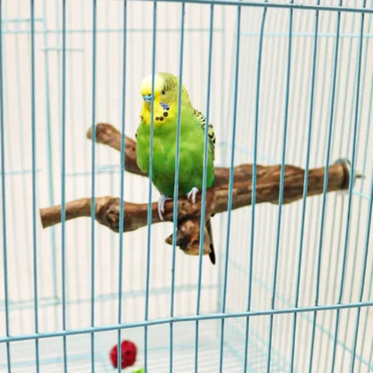 Natural Bird Cage Perch – Grape Wood Claw Grinding Toy for Cockatiels