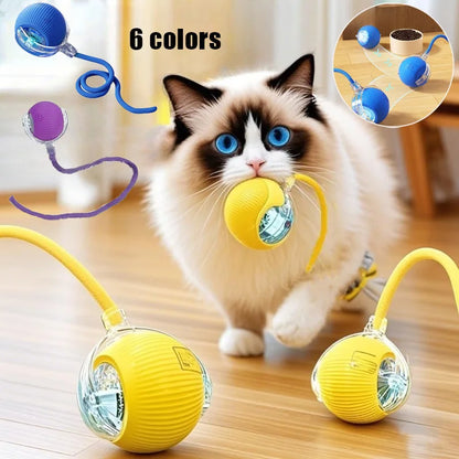 Smart Electric Cat Toy – Rolling Ball with Long Tail for Indoor Cats