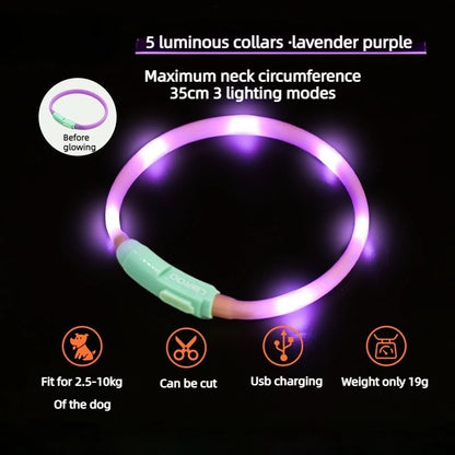 LED Dog Walking Pendant – Waterproof Night Safety Light for Pets