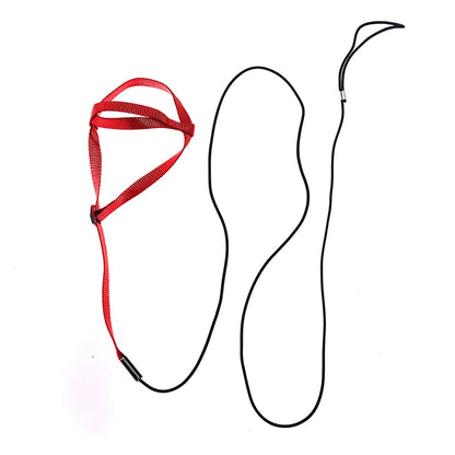 Bird Training Leash & Harness – Anti-Bite Flying Rope for Parrots and Small Birds
