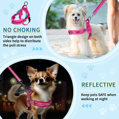 Small Dog No-Pull Harness Set – Reflective Soft Vest with Matching Leash