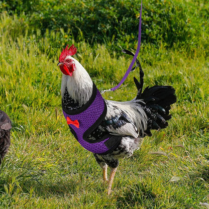 Fashion Chicken Duck Vest Hen Belt Pet Harness Matching Collars Bow Comfortable Leads Mesh Breathable Poultry Supplies Leash