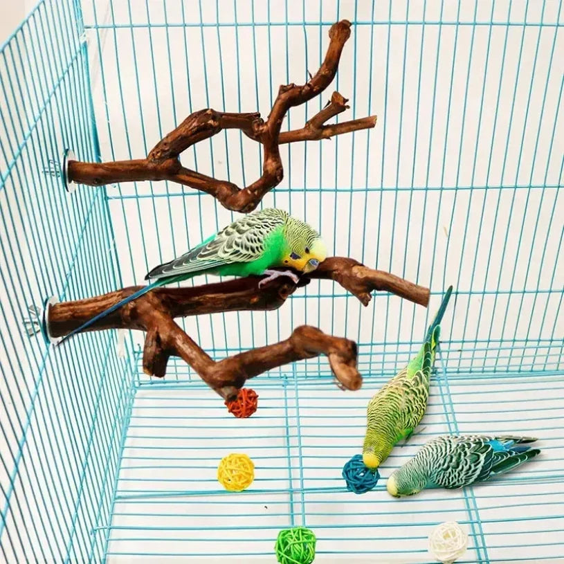 Natural Bird Cage Perch – Grape Wood Claw Grinding Toy for Cockatiels