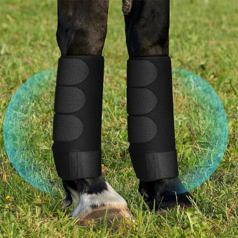 Equestrian Horse Leg Guards – Anti-Collision Shock Absorption Boots