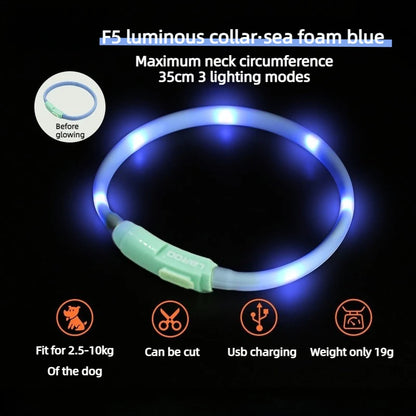 LED Dog Walking Pendant – Waterproof Night Safety Light for Pets