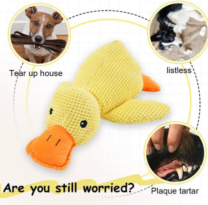 Duck Plush Dog Toy – Quacking Squeaky Chew Toy for Small, Medium & Large Dogs