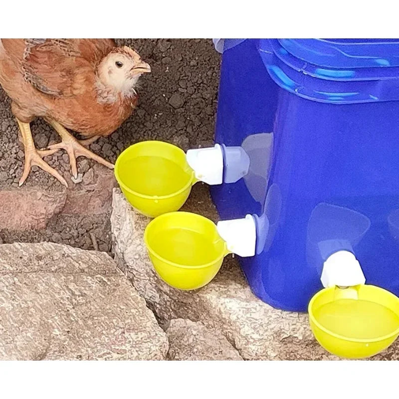 Drinking Water Feeder for Chicks Duck Goose Turkey Quail Automatic Chicken Water Cup Waterer Bowl Kit Farm Coop Poultry Waterer