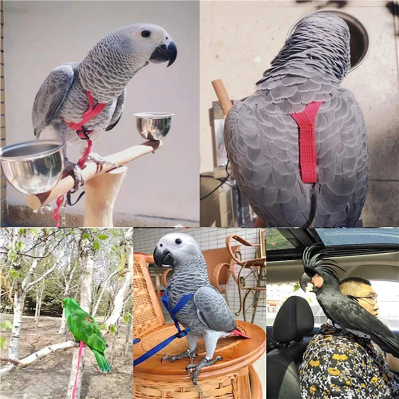 Bird Training Leash & Harness – Anti-Bite Flying Rope for Parrots and Small Birds
