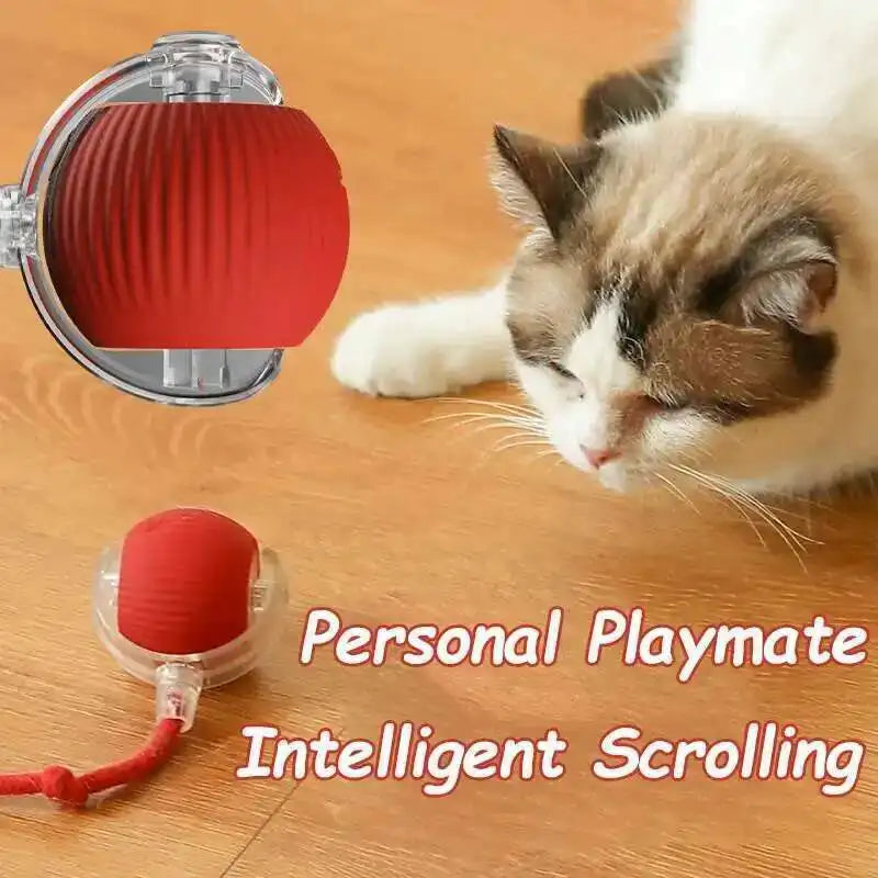 Interactive Rubber Chew Toy for Dogs – Durable Toy for Extended Play & Training
