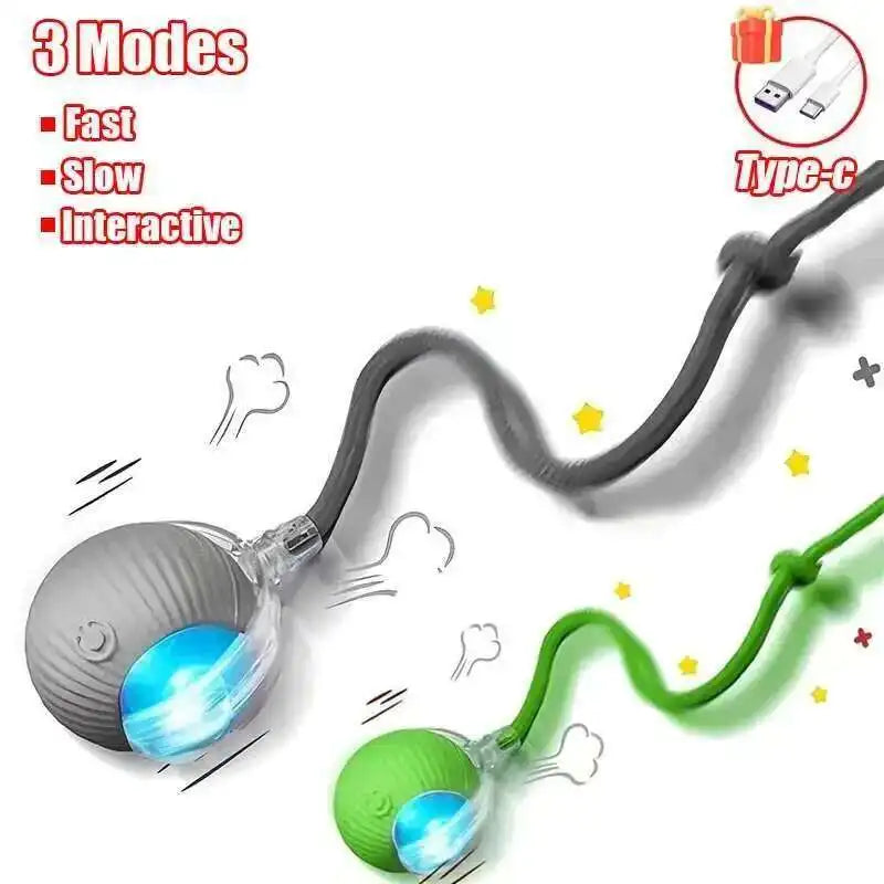 Interactive Rubber Chew Toy for Dogs – Durable Toy for Extended Play & Training