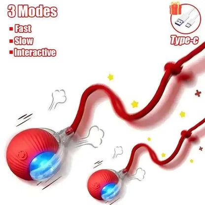 Interactive Rubber Chew Toy for Dogs – Durable Toy for Extended Play & Training