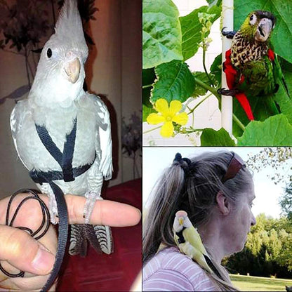 Bird Training Leash & Harness – Anti-Bite Flying Rope for Parrots and Small Birds