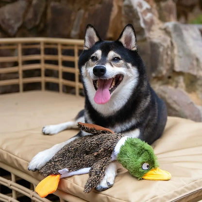 Wild Duck Squeaky Dog Toy – Interactive Chew & Play Toy for All Dog Sizes