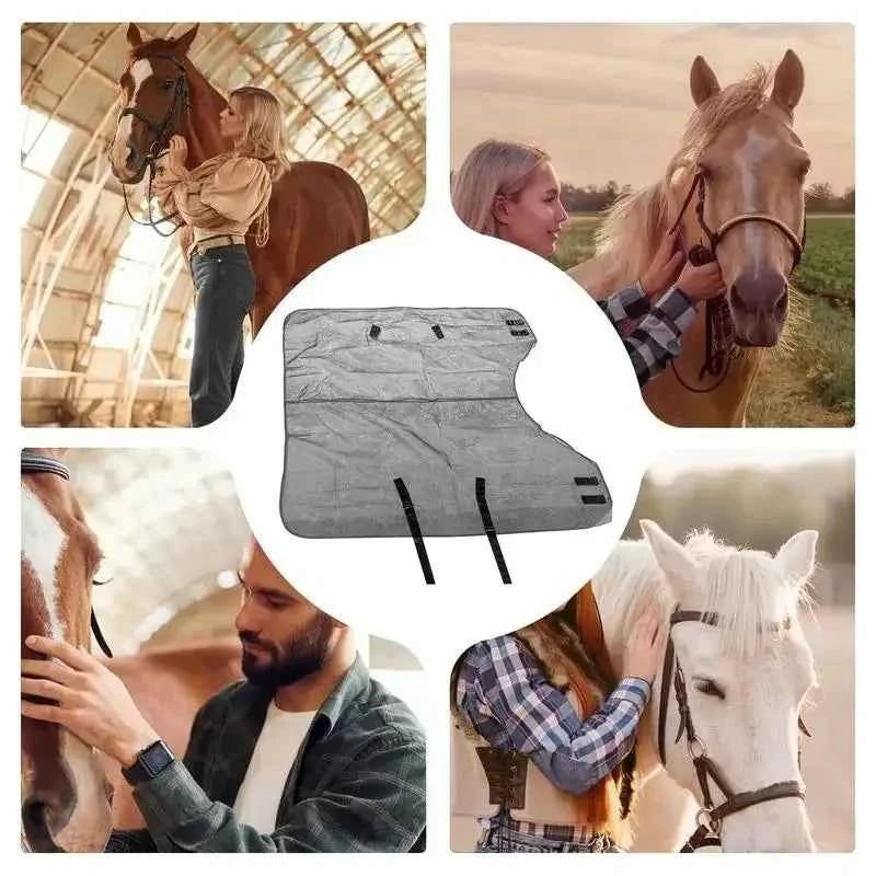 Horse Fly Sheet Breathable UV Protective Tear-Resistant Neck Comfy Mesh Horse Fly Sheet Comfy Equine Summer with Buckle Vest