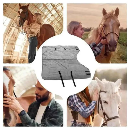 Horse Fly Sheet Breathable UV Protective Tear-Resistant Neck Comfy Mesh Horse Fly Sheet Comfy Equine Summer with Buckle Vest