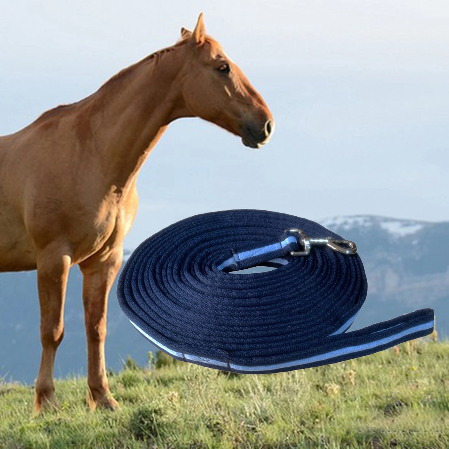 Thick Horse Lead Rope – 8M Lunge Line for Training, Lunging & Recall