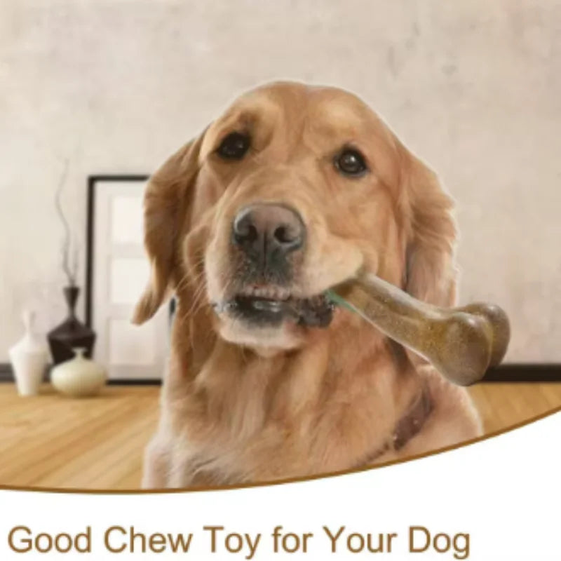 Natural Dog Bone Toy – Long-Lasting Chew Toy for Aggressive Chewers