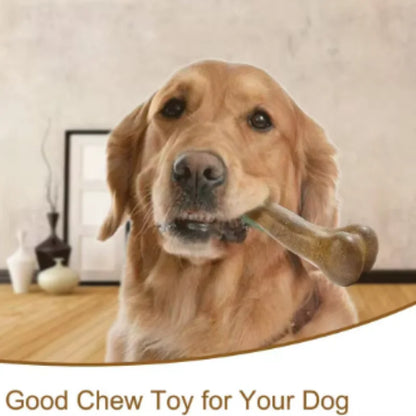 Natural Dog Bone Toy – Long-Lasting Chew Toy for Aggressive Chewers