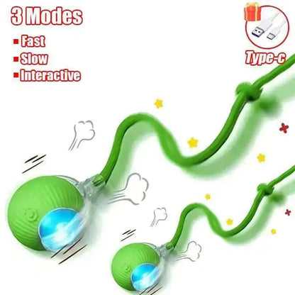Interactive Rubber Chew Toy for Dogs – Durable Toy for Extended Play & Training