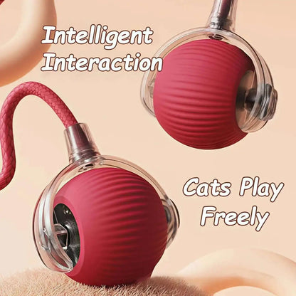 Interactive Rubber Chew Toy for Dogs – Durable Toy for Extended Play & Training