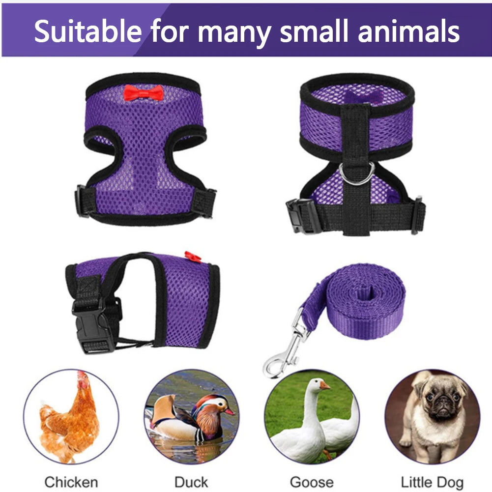 Fashion Chicken Duck Vest Hen Belt Pet Harness Matching Collars Bow Comfortable Leads Mesh Breathable Poultry Supplies Leash