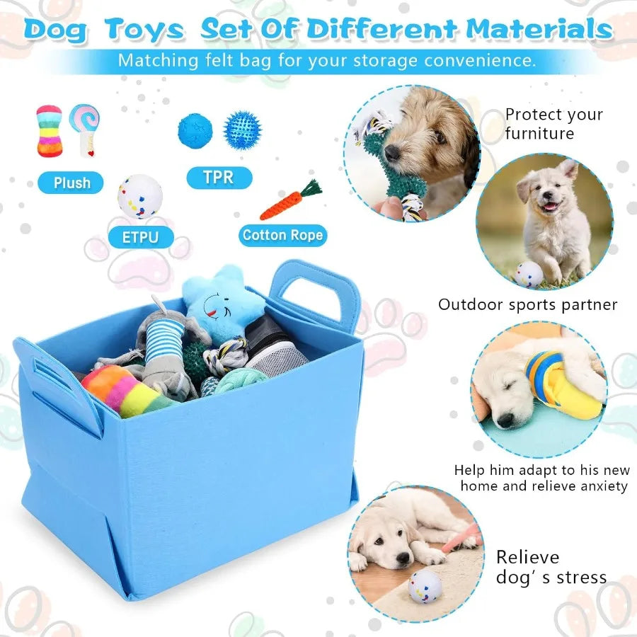 All-in-One Puppy Care Kit – 65PCS Small Dog Essentials & Accessories Set