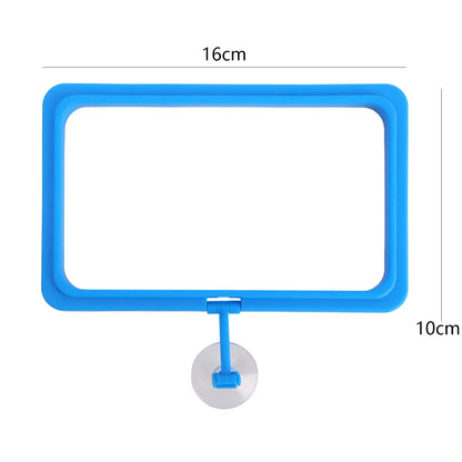 Aquarium Feeding Ring Fish Tank Station Floating Food Tray Feeder Square Circle Accessories Fish Foods Feeder With Suction Cup
