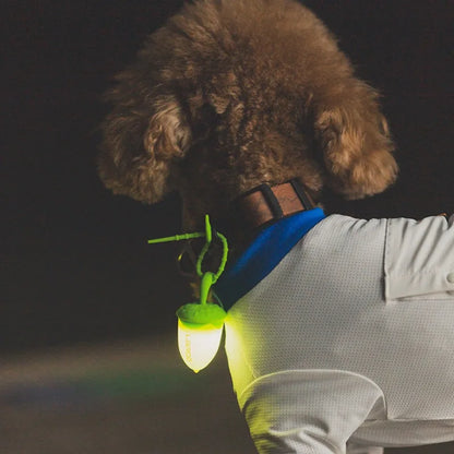 LED Dog Walking Pendant – Waterproof Night Safety Light for Pets
