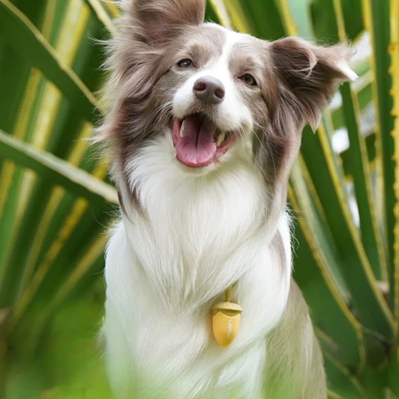 LED Dog Walking Pendant – Waterproof Night Safety Light for Pets