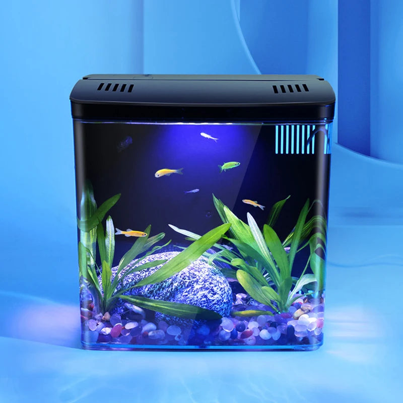 Desktop Goldfish Tank – Mini Aquarium with Back Filter Circulation System