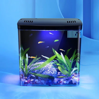 Desktop Goldfish Tank – Mini Aquarium with Back Filter Circulation System