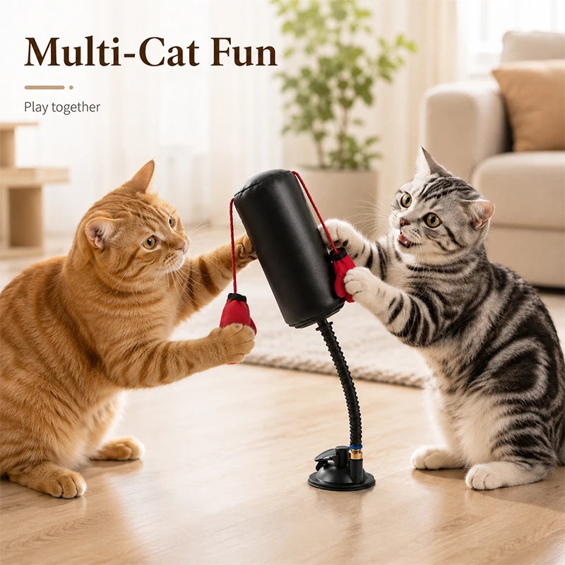 Indoor Cat Punching Bag – Interactive Boxing Toy with Dangling Gloves
