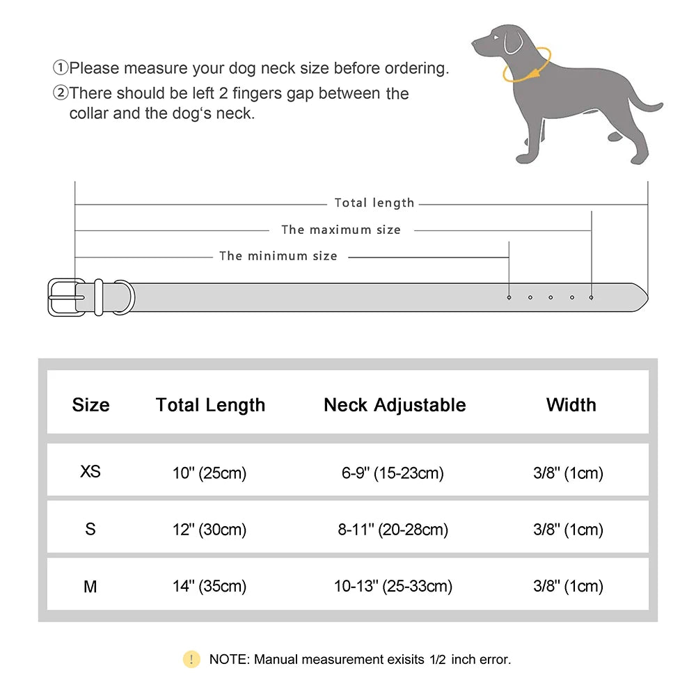 Bling Pet Collar with ID Tag – Personalized Anti-Lost Collar for Cats & Small Dogs