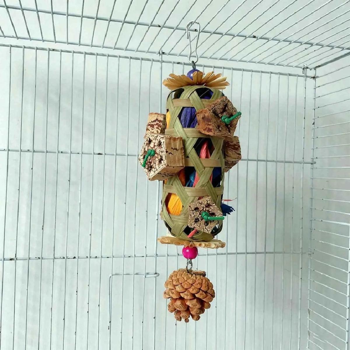 Parrot Toys For aging Chew Pet Supplies Colorful Husk Parrot Toys for Mental Play Training Indoor Finches Lovebirds African Grey