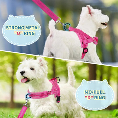 Small Dog No-Pull Harness Set – Reflective Soft Vest with Matching Leash