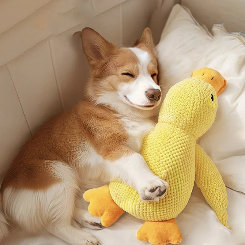 Yellow Duck Dog Toy – Plush Squeaky Chew Toy with Quacking Sound