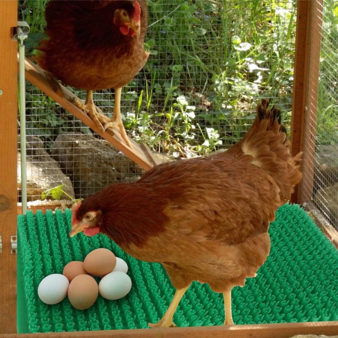 Chicken Coop Nesting Box Liners – Cut-to-Fit Reusable Egg Laying Mats