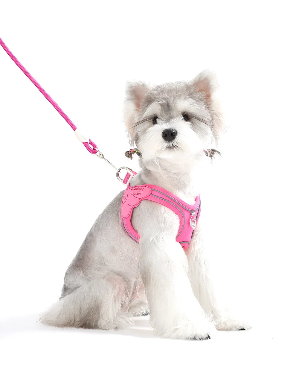 Reflective Adjustable Cat & Dog Harness – Lightweight Outdoor Walking Vest with Leash
