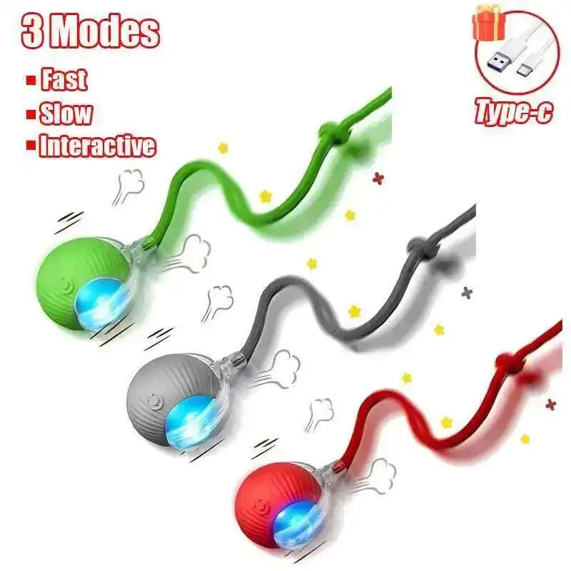 Interactive Rubber Chew Toy for Dogs – Durable Toy for Extended Play & Training