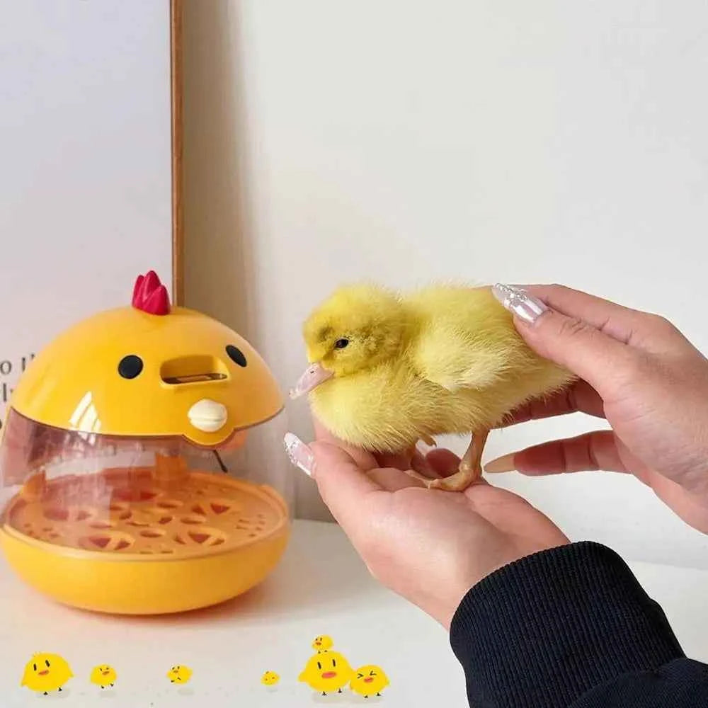 Mini Egg Incubator Light Transparent Window Automatic Temperature Humidity Control 5 Eggs Poultry Hatching Machine For Home C4Z4