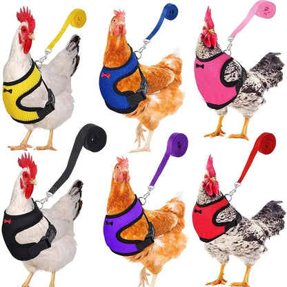 1pc Fashion Chicken Duck Vest Hen Belt Pet Harness Matching Collars Bow Comfortable Leads Breathable Poultry Supplies