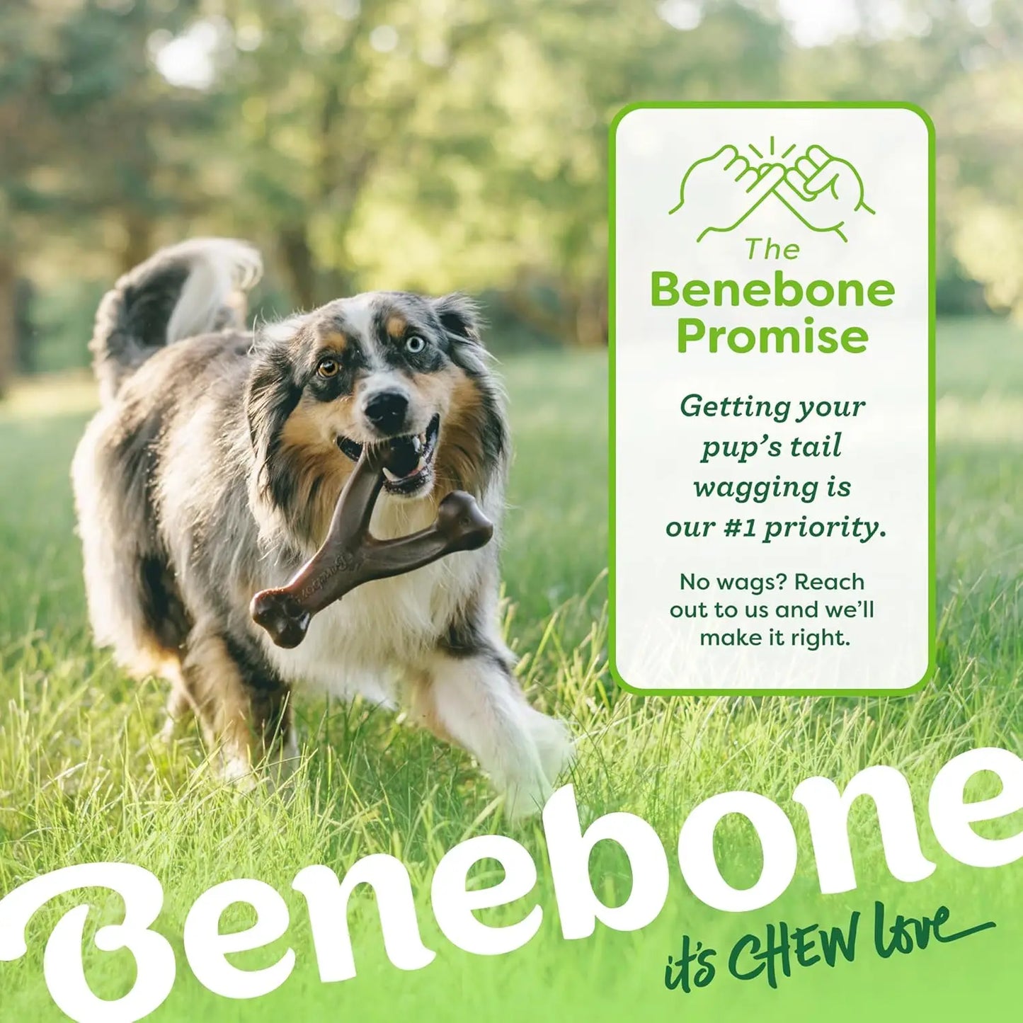 Durable Benebone Wishbone for Dogs – Real Bacon Flavor Chew Toy for Strong Chewers