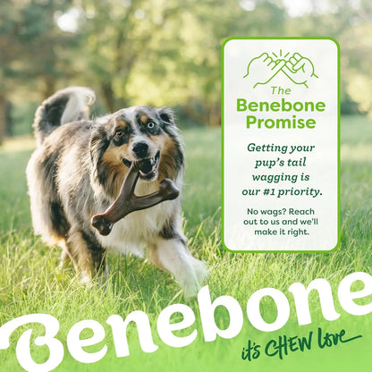 Durable Benebone Wishbone for Dogs – Real Bacon Flavor Chew Toy for Strong Chewers