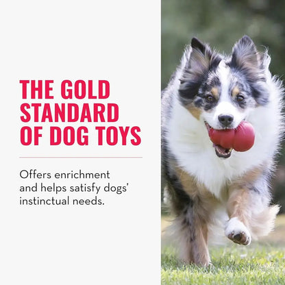 Long-Lasting Rubber Dog Toy – Classic Chew Toy for Dogs of All Sizes