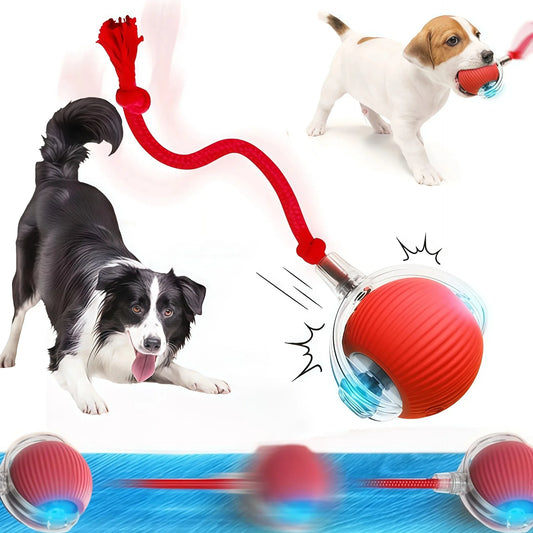 Interactive Rubber Chew Toy for Dogs – Durable Toy for Extended Play & Training