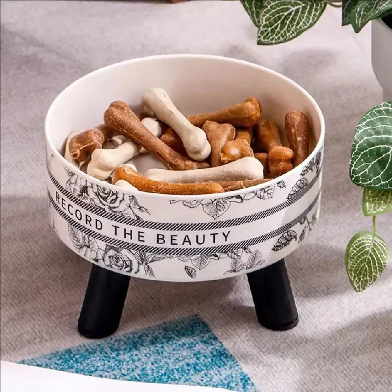 Stainless Steel Elevated Dog Bowls – Raised Food and Water Feeder for Pets