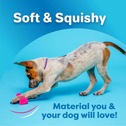 Squeaky Latex Dog Bone Toys, 3-Pack, Ideal for Medium Breeds