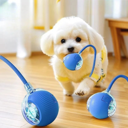 Smart Electric Cat Toy – Rolling Ball with Long Tail for Indoor Cats