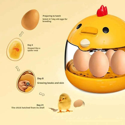 Mini Egg Incubator Light Transparent Window Automatic Temperature Humidity Control 5 Eggs Poultry Hatching Machine For Home C4Z4